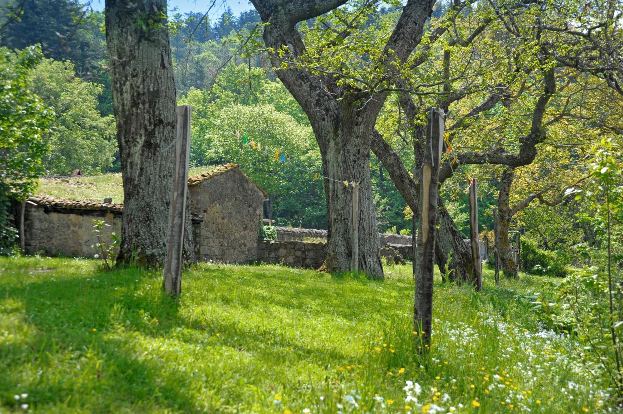 Holiday home Casa Di Lilli