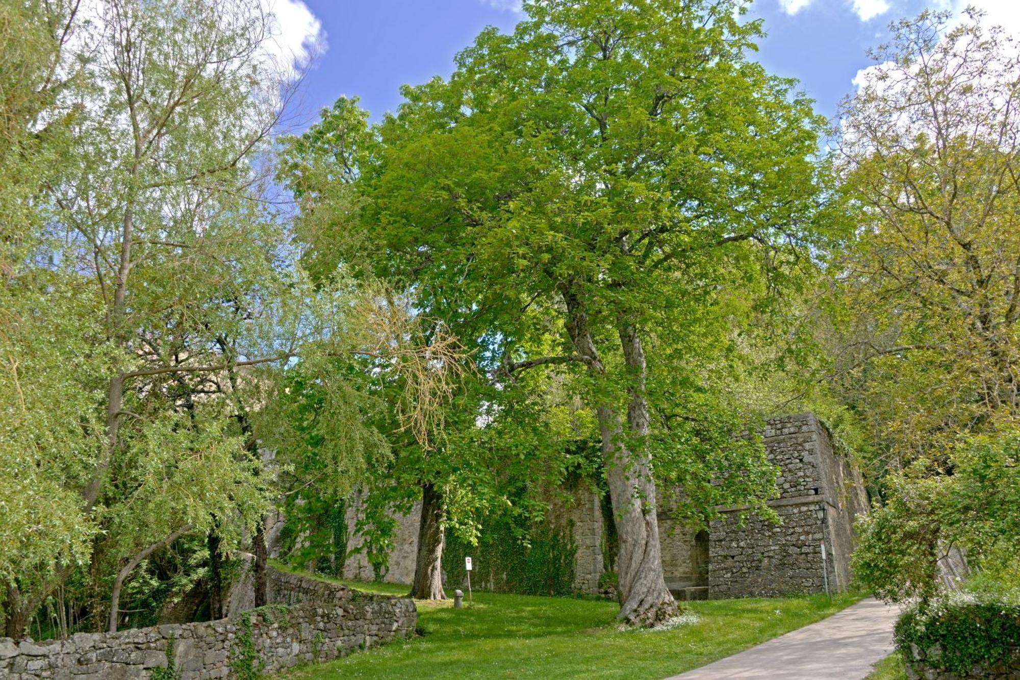 Casa Di Lilli