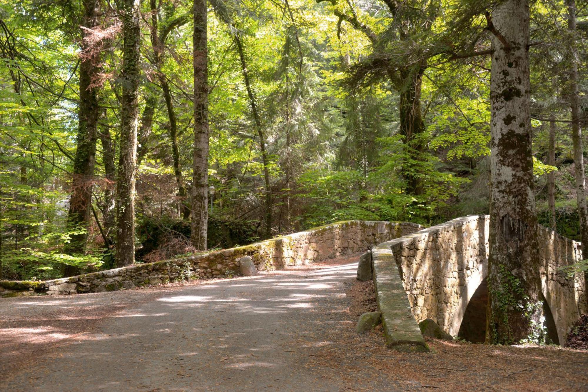 Casa Di Lilli Vivo d'Orcia