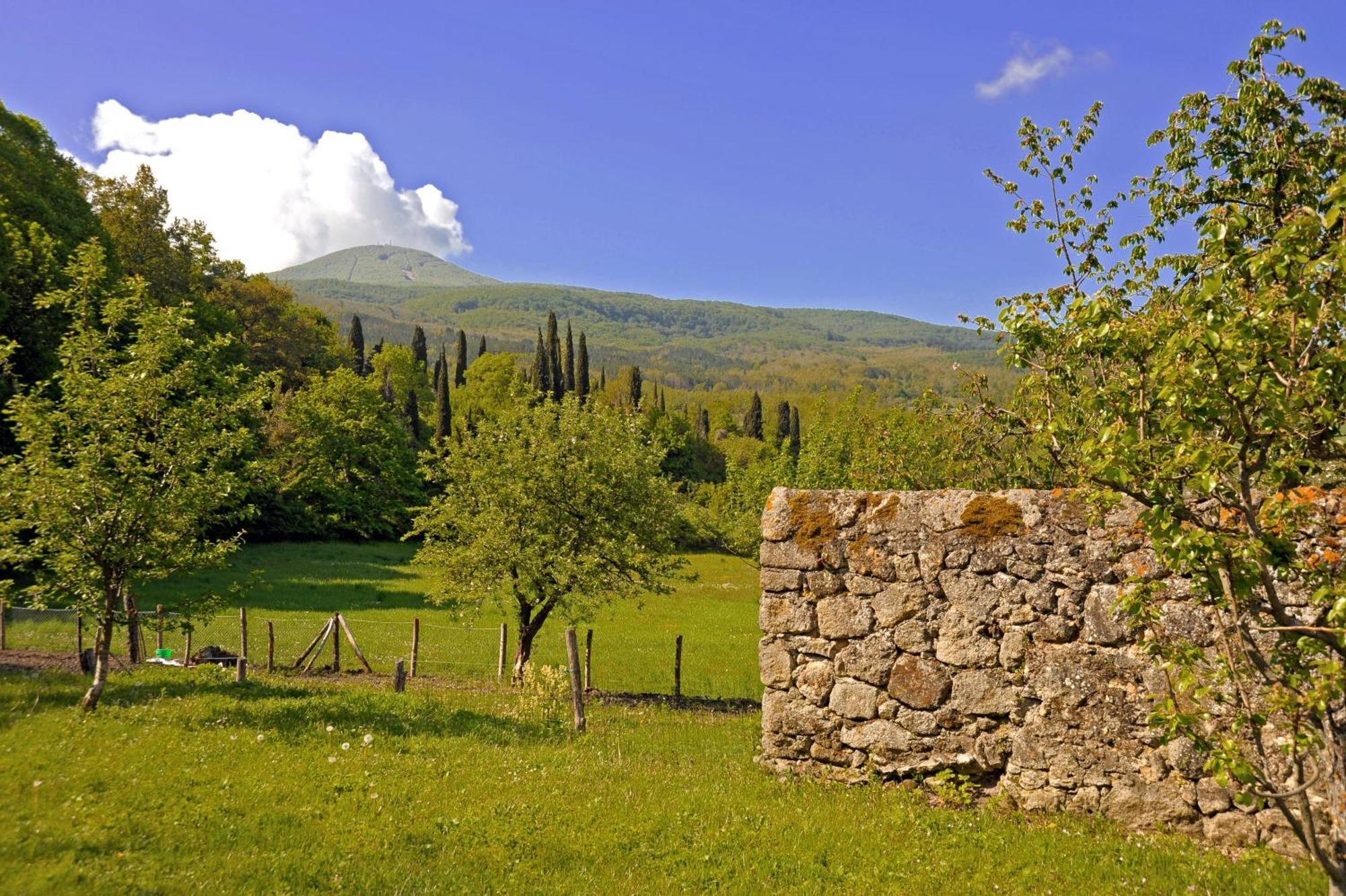 Holiday home Casa Di Lilli Vivo d'Orcia